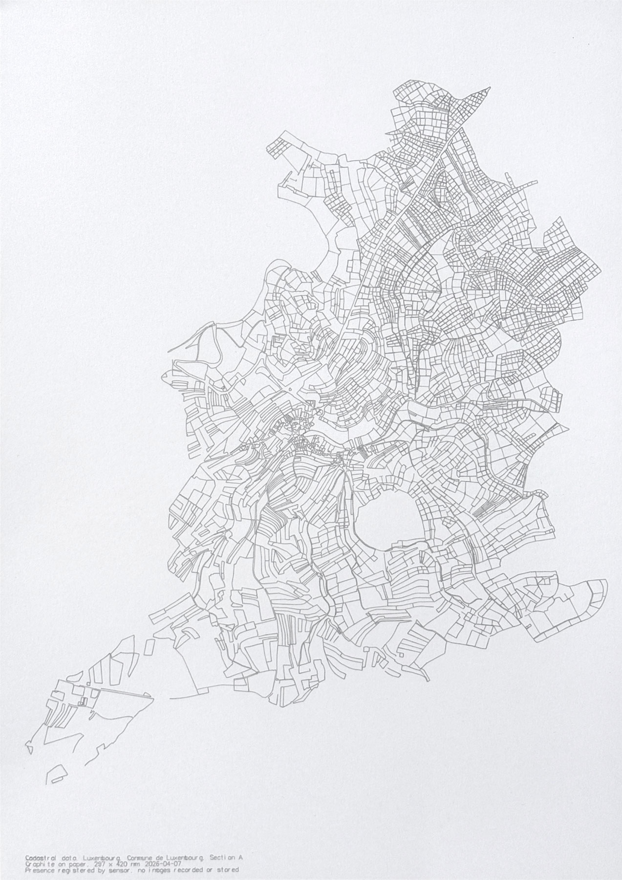 Attention Destroys Representation, cadastral drawing, early state. Parcels large and open.
